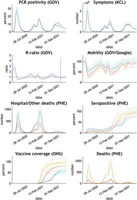 A 12-month projection to September 2022 of the COVID-19 epidemic in the UK using a dynamic causal model